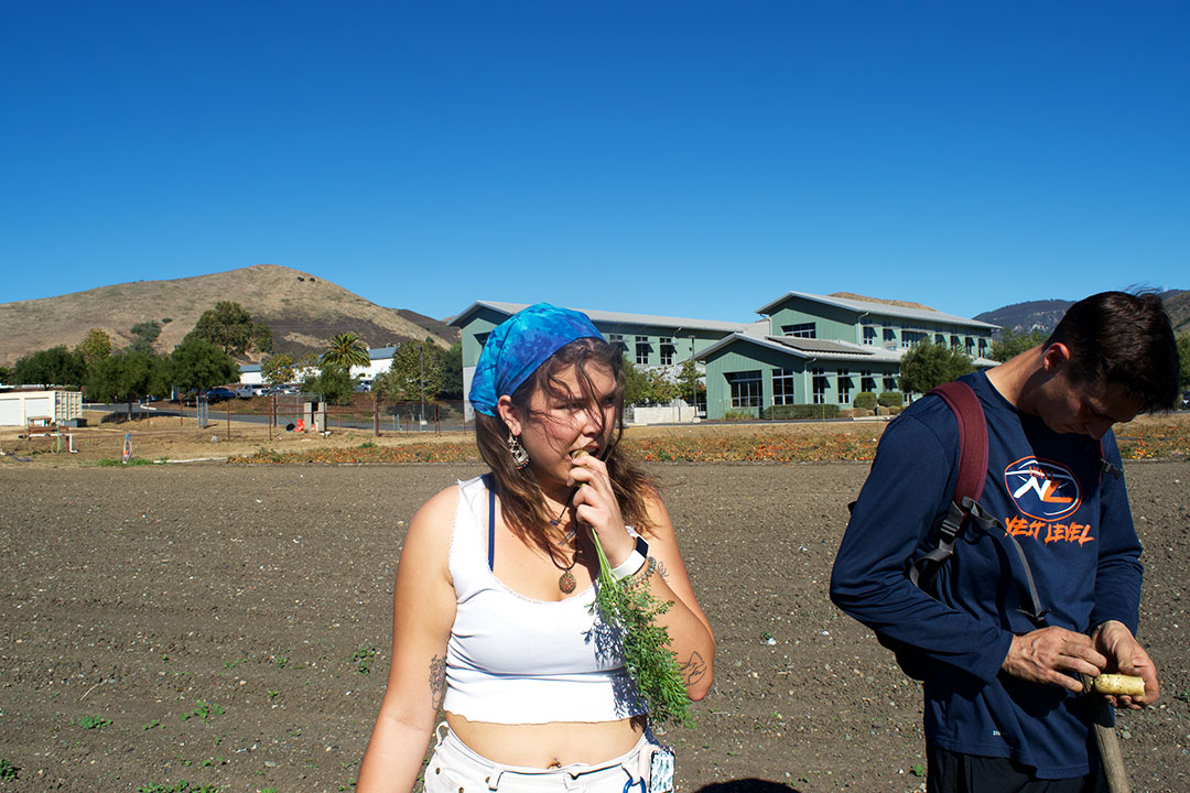 Cal Poly sophomore Environmental Management and Protection major Hope Springer (left) testing out some of the day’s harvest. While Cal Poly fifth year Nutrition major William Gallo (right) inspects his before eating.