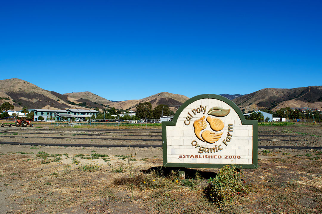 SAN LUIS OBISPO || OCTOBER 21st, 2019 || You may have never heard of it, but Cal Poly is home to a nine acre organic farm. It can be located in the Horticulture and Crop Science Department, and is certified organic by the California Certified Organic Farmers. (CCOF)
